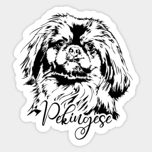 Funny Proud Pekingese dog portrait dog lover Sticker